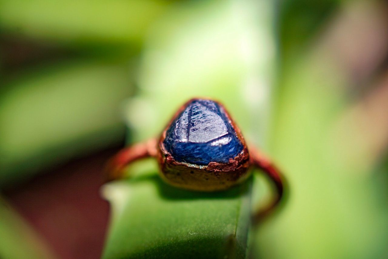 CLOSE-UP OF SNAKE ON METAL