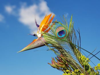 Low angle view of plant against clear blue sky