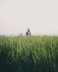 Rear view of man standing on field