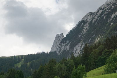 Low angle view of panoramic shot of trees and mountains against sky