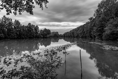 Reflection of trees in lake against sky