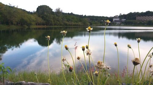 Scenic view of lake against sky