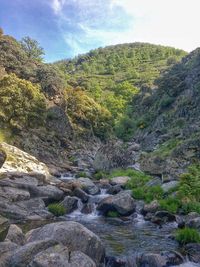 Scenic view of waterfall in forest against sky