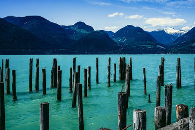 Wooden posts in lake against blue sky