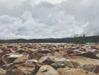 Surface level of rocks on land against sky