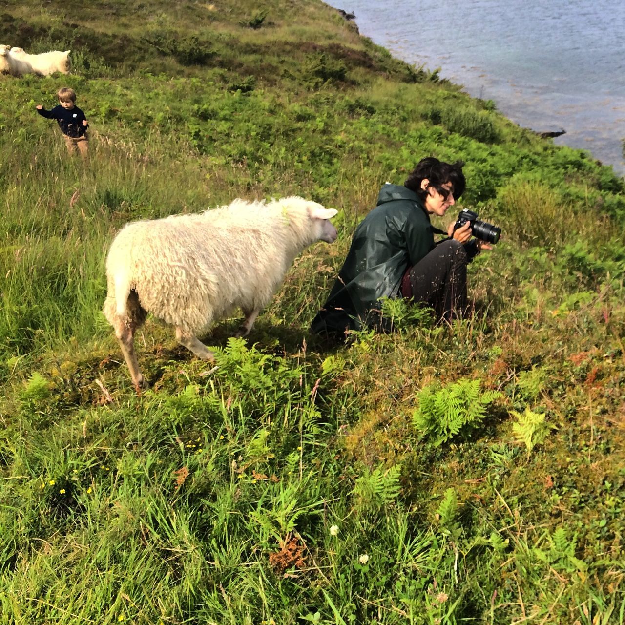 grass, lifestyles, leisure activity, sitting, animal themes, relaxation, field, togetherness, men, domestic animals, water, high angle view, nature, mammal, full length, grassy, person