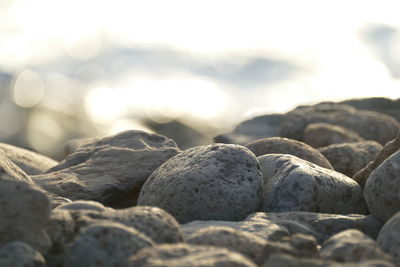 Close-up of pebbles