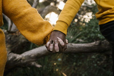 Close-up of hand holding leaf against trees