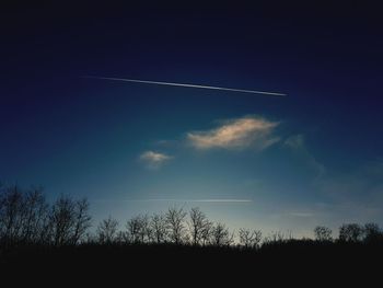 Low angle view of silhouette trees against blue sky