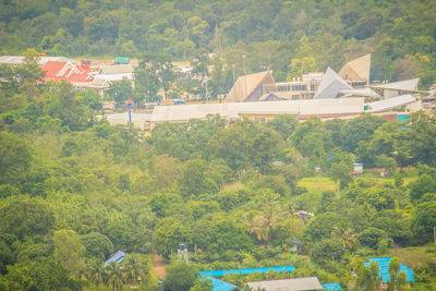 High angle view of trees and buildings