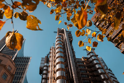 Low angle view of buildings against sky during autumn