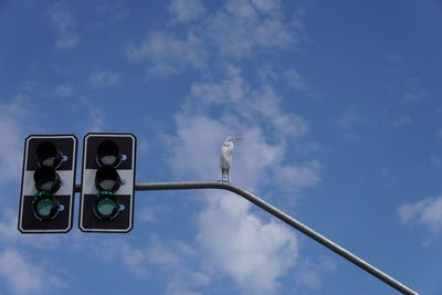 Low angle view of bird perching on street light against sky