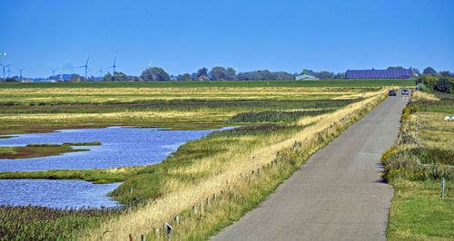 Scenic view of agricultural field against clear sky