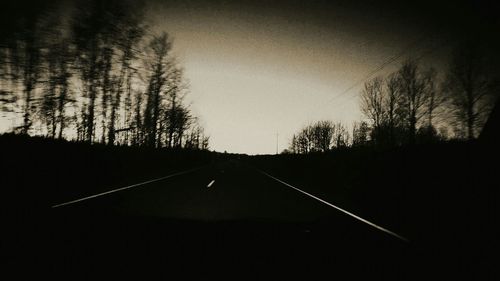 Road passing through bare trees