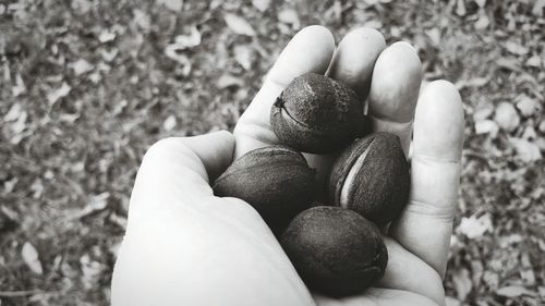 Cropped hand holding food on field