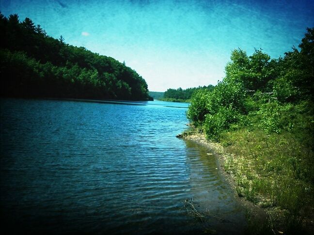 water, tree, tranquil scene, tranquility, scenics, beauty in nature, sky, nature, blue, waterfront, sea, rippled, idyllic, lake, calm, river, reflection, outdoors, no people, day