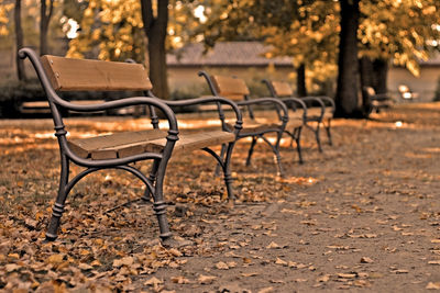 Empty bench in park during autumn