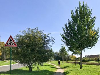 Road amidst trees on field against clear sky