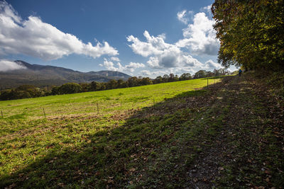 Scenic view of field against sky