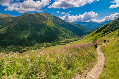 Scenic view of landscape against sky