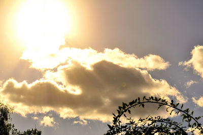 Low angle view of silhouette trees against sky during sunset