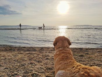 Scenic view of beach against sky during sunset