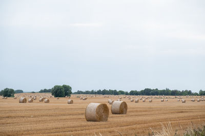 Hay bales on field against sky