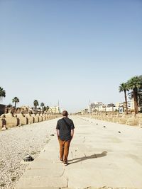 Walking down the avenue of sphinxes in luxor, egypt. 