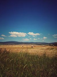 Scenic view of field against cloudy sky