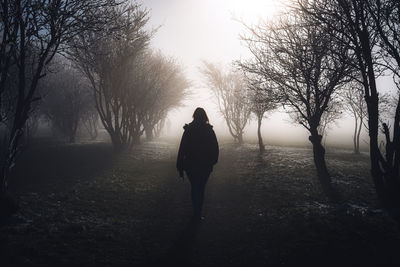 Rear view of woman walking on bare trees during winter