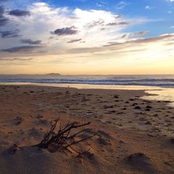Scenic view of beach at sunset