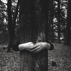 View of hands hugging tree in forest