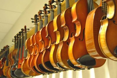 Low angle view of violins hanging in row at store