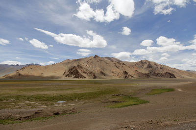 The beautiful green prairie under the blue sky and white cloud mountain