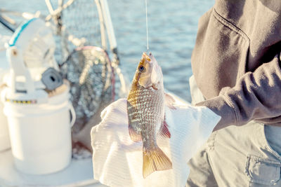 Midsection of man holding fish on hook 