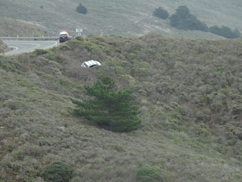 High angle view of cars on road