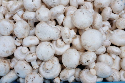 Full frame shot of mushrooms