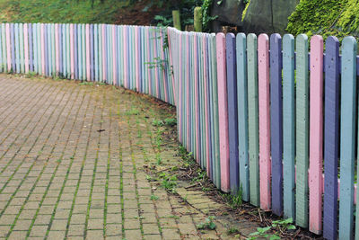 Multi colored trees in row