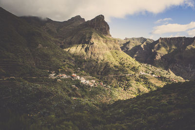 Close-up of tree on mountain against sky