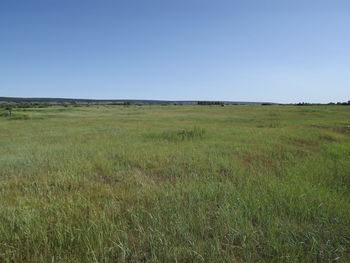 Scenic view of field against clear sky