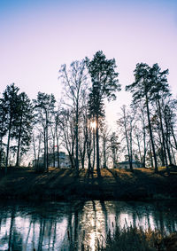 Silhouette trees by lake against clear sky during sunset