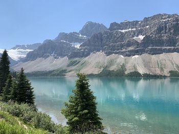 Bow lake beauty 