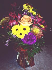 Close-up of colorful flowers