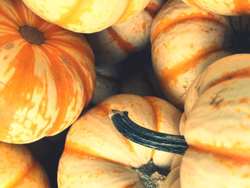 Full frame shot of seasonal squash