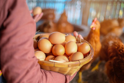 Close-up of hand holding basket of eggs