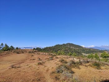 Scenic view of field against clear blue sky