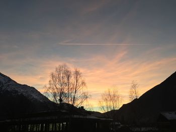 Low angle view of silhouette trees against sky during sunset