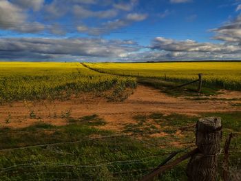 Scenic view of field against sky