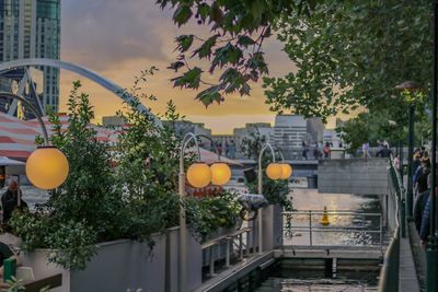 Yellow flowering plants by building against sky during sunset