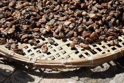 High angle view of coffee beans on beach